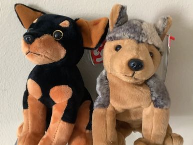 two beanie baby dogs