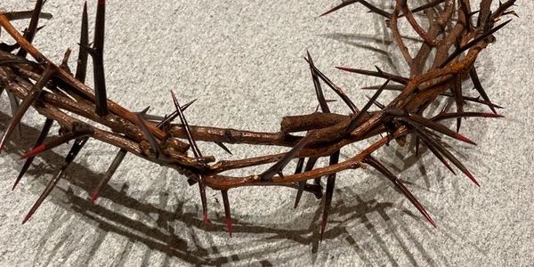 A crown of thorns