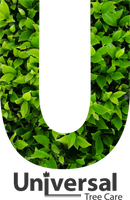 Universal Tree Care