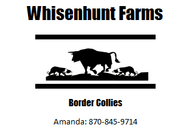 Whisenhunt Farms