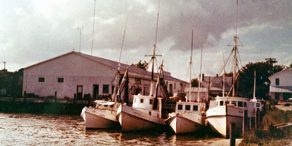 Clayton Fulcher Seafood Harbor

Atlantic NC