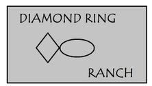 DIAMOND RING RANCH