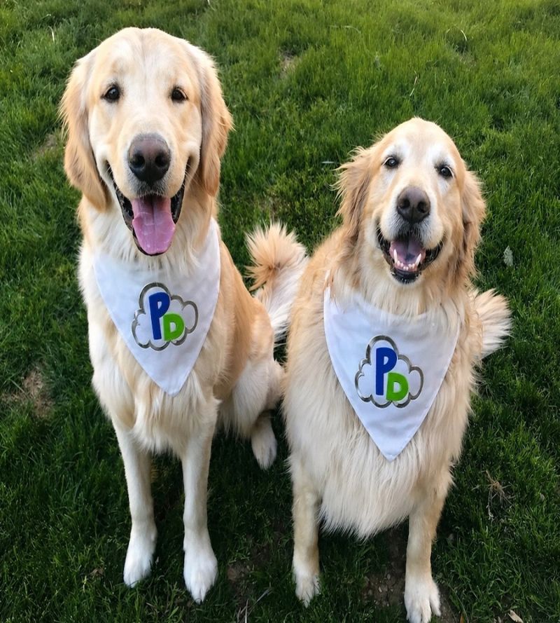 Bentley & Daisy