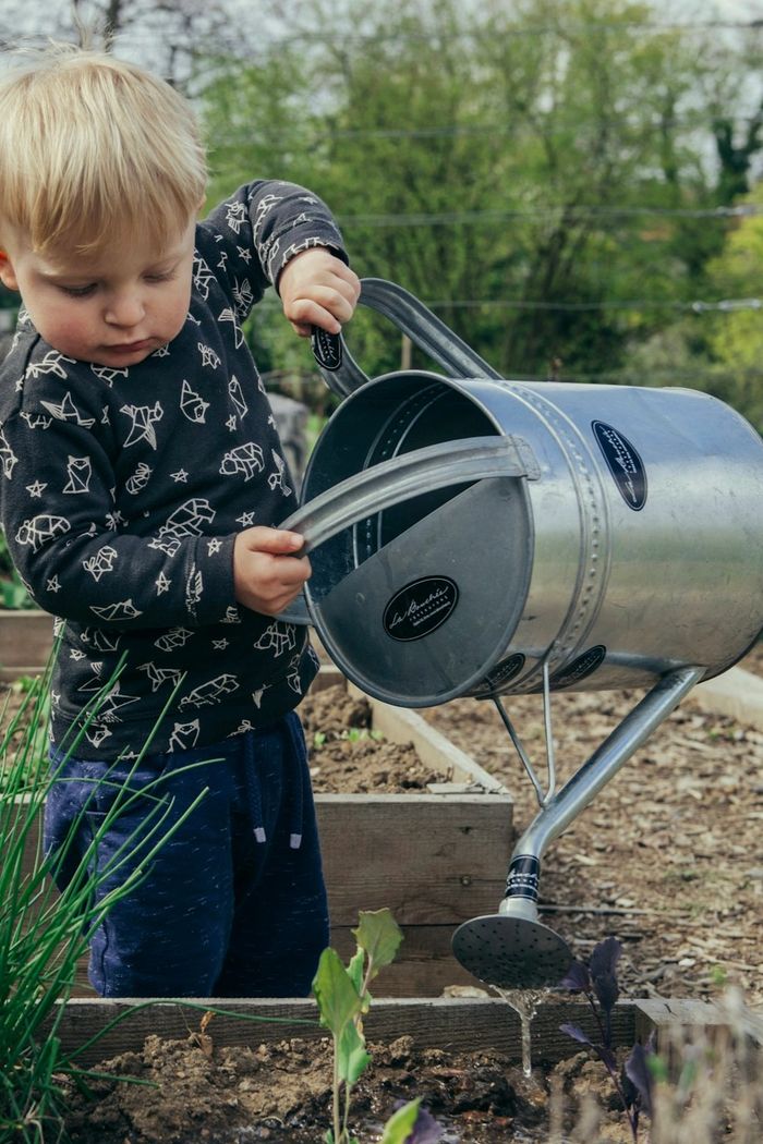 Gardening tips and best practices