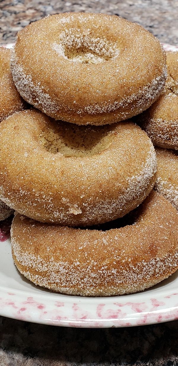 Cinnamon and Sugar Apple Cider Donuts