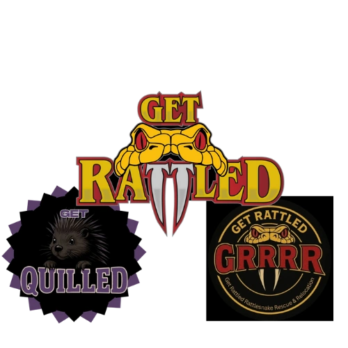 Get Rattled - Get Rattled Events, Class, Classes, Get Rattled Events