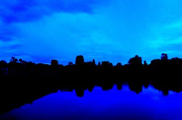 Silhouetted trees against a blue sky reflected on a lake.