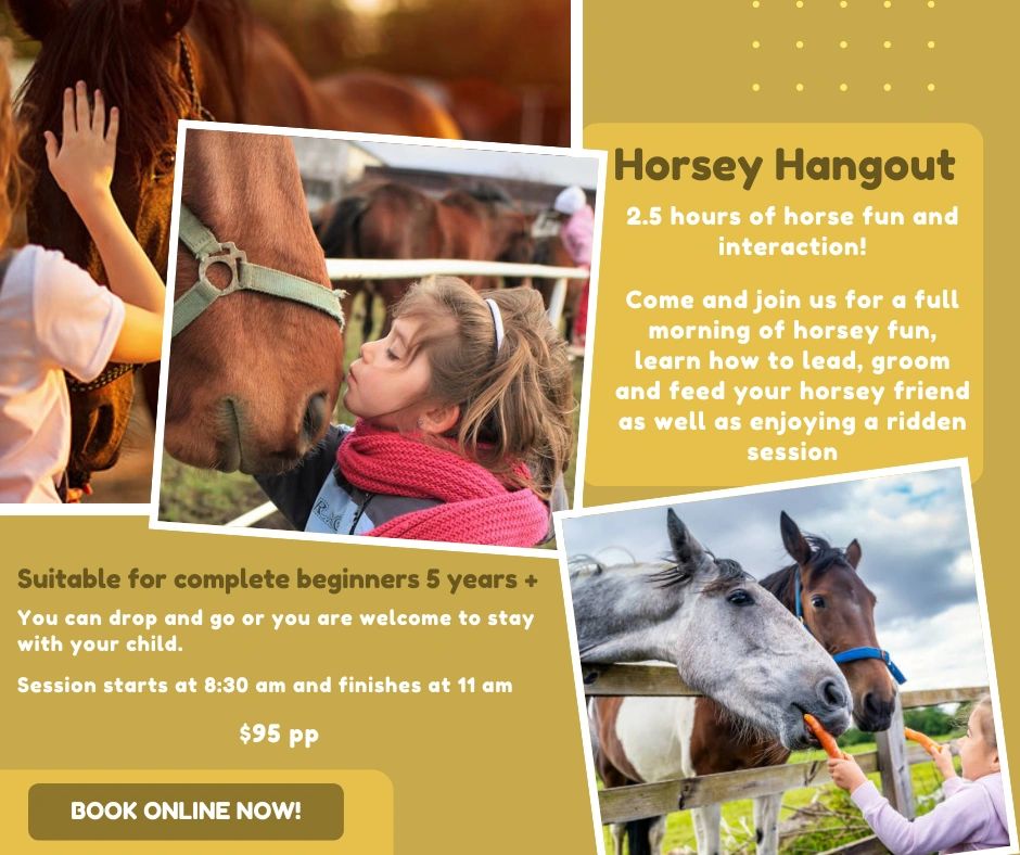 Horsey Hangout - Fri 23rd Jan