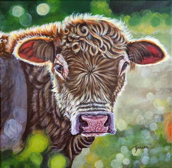 Young calf in golden lighting, soft background. Cow. 