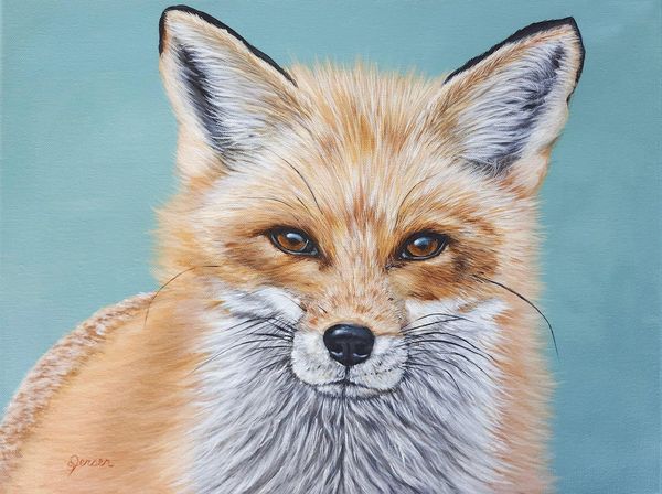 Portrait of a red fox. Captivating eyes fluffy and soft fur. 