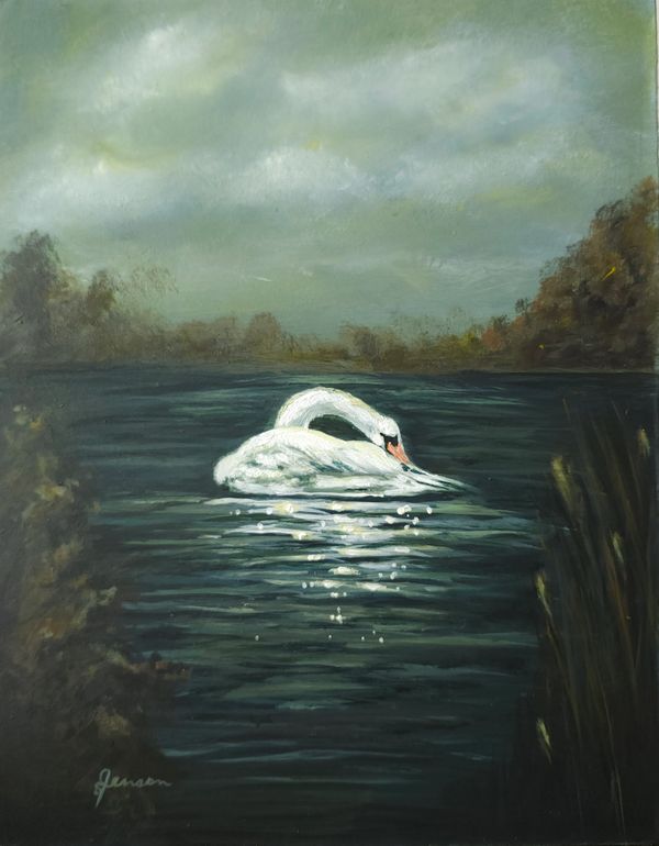 Serene swan in a pond on a cloudy, moody day. 