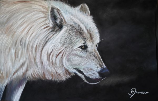 White arctic wolf. Side profile. Dramatic.