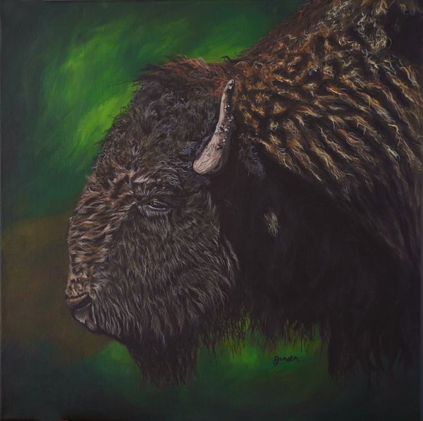 Bison, buffalo closeup side profile. Fur texture realism.