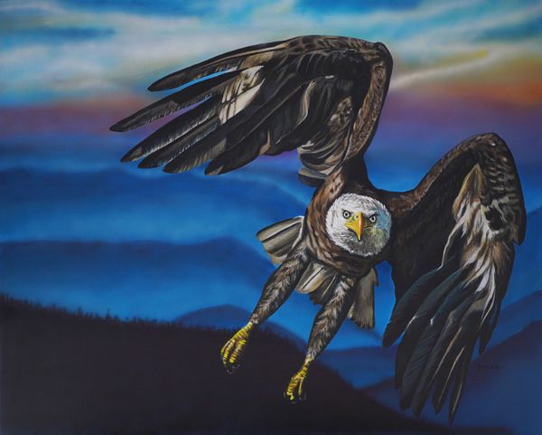 Bald eagle in mid flight. Outstretched wings. Movement and soft background. 