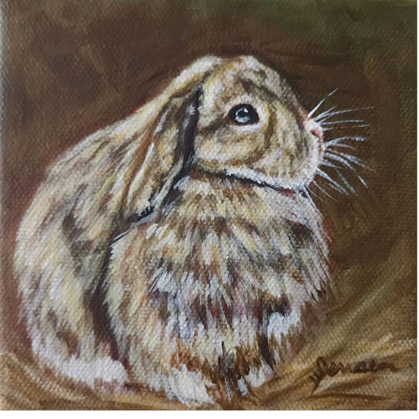 Little fluffy brown bunny 