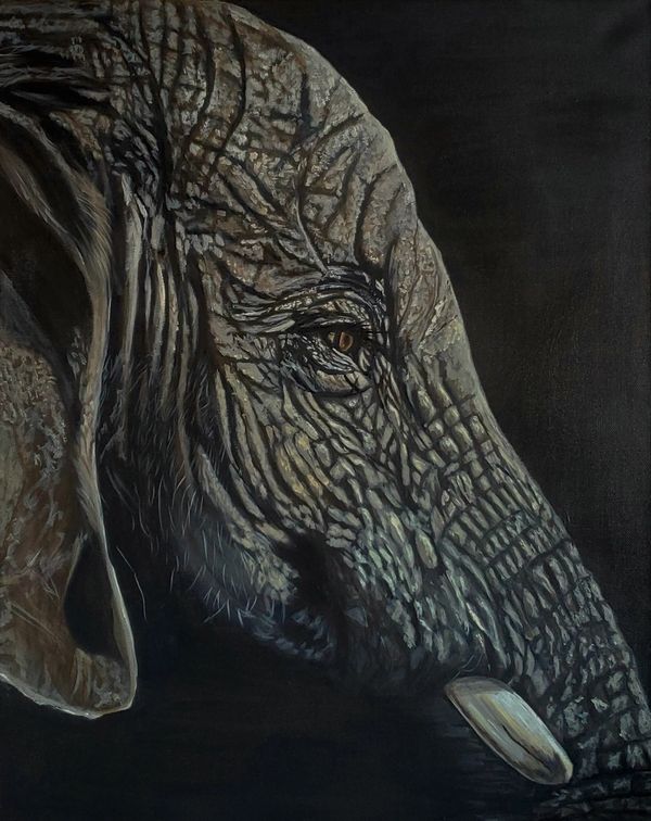 Dramatic elephant. Noir collection. Closeup realism. 