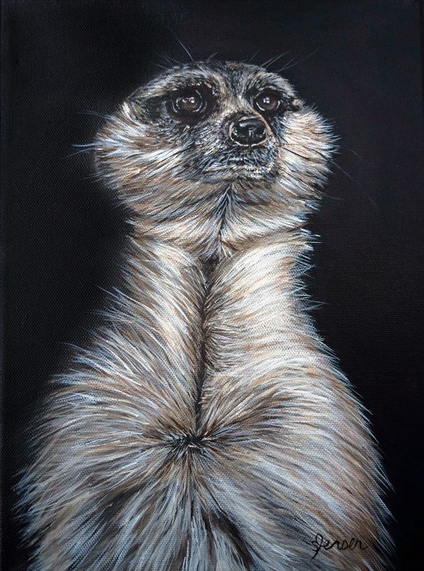 Noir collection. Meerkat closeup portrait in dramatic lighting. 