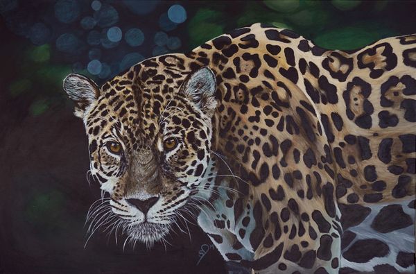 Big cats collection. Jaguar in the jungle. Straight stare at the viewer. Intense realism. 