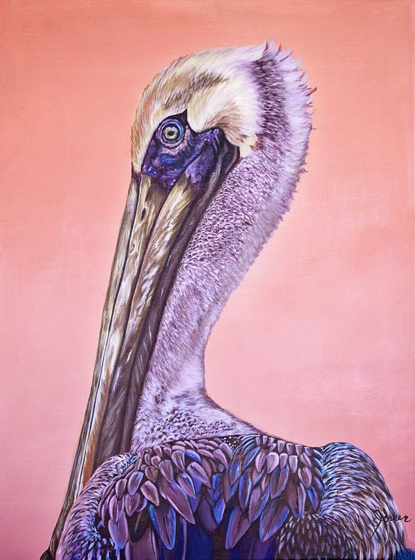Brown pelican closeup with bright colors. Purple, blue and pink. 