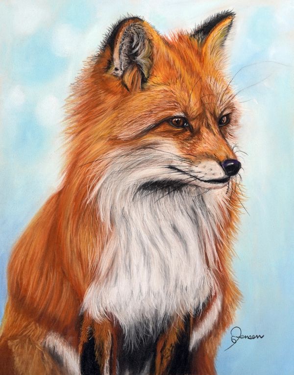 Red fox, side profile. Blue background. 