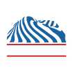 River City SEARCH