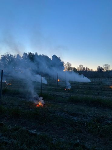 Durant le gel de mai, nous avons allumé des feux