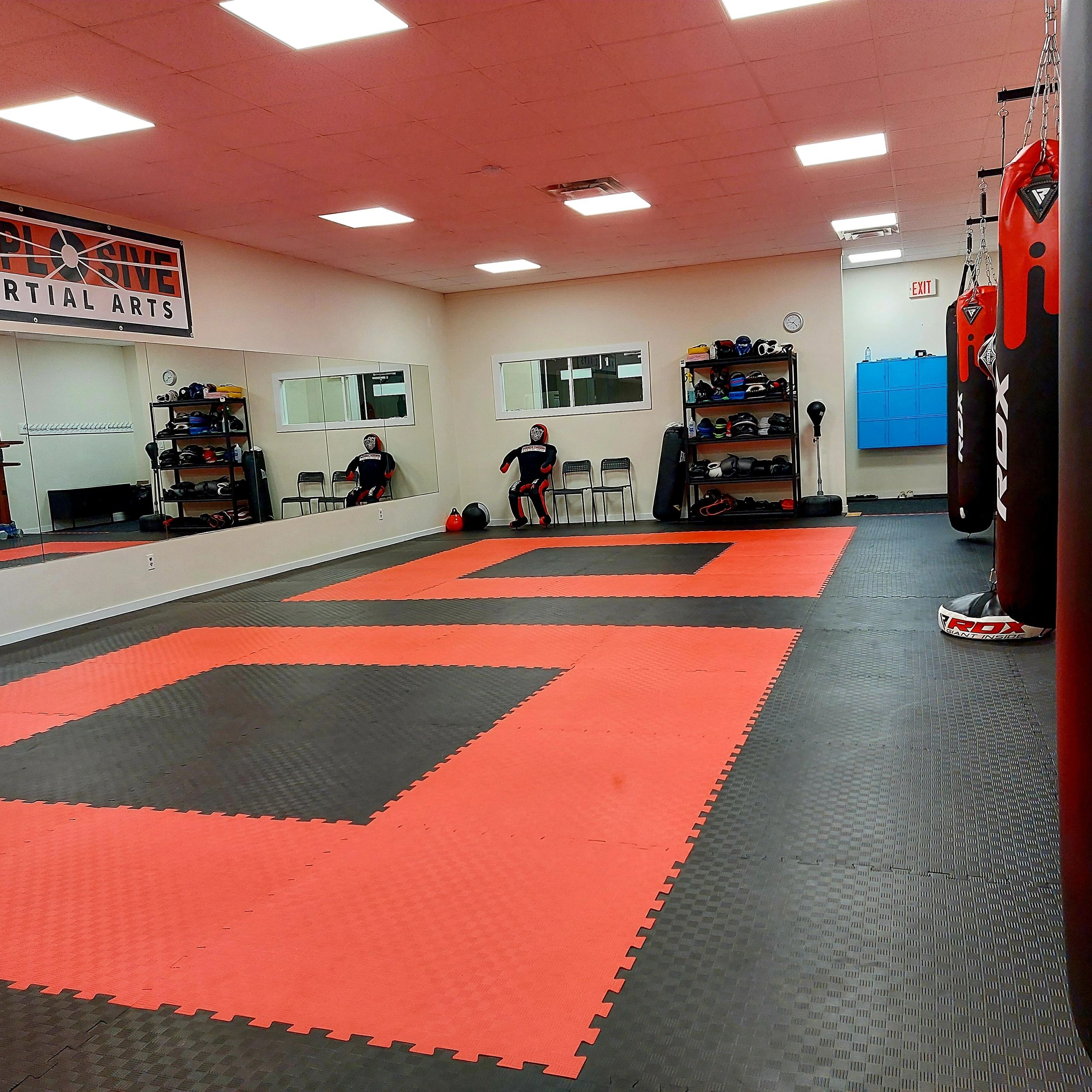 Explosive Martial Arts SelfDefence Hamilton, Ontario