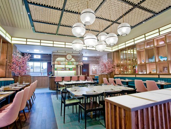 Interior of an Asian style restaurant decorated with sakura trees