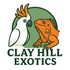 Clay Hill Exotics