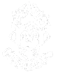Static Monkey Studios