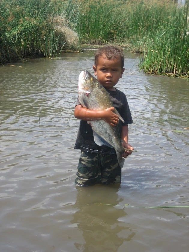 Young child standing in river holding a fish near the Río Niño region