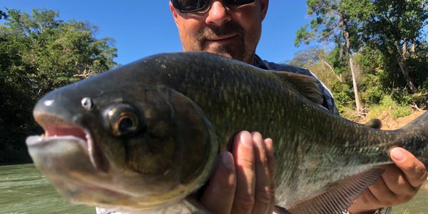 close up of fly fishing catch in costa rica