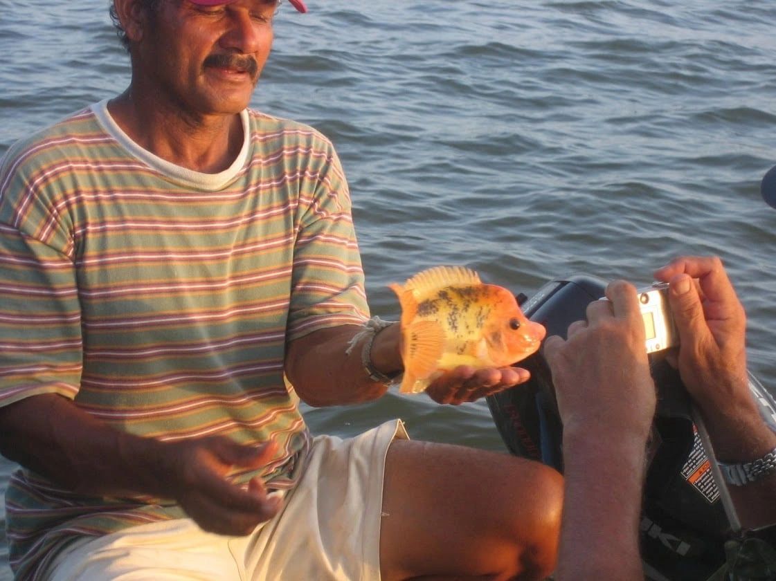 Gilberto holding a colorful tropical fish during a Costa Rica fishing trip