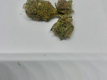 Fluffly KUSH HEMP buy at The Hemp Park V&S Store 