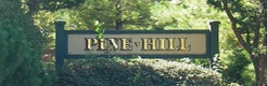 Pine Hill Lake Placid