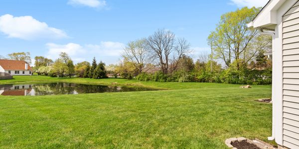 A green backyard with trees and a pond.