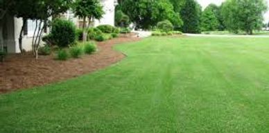 Residentnal lawn mowing, trimming and edging
