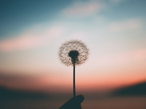 Breathwork