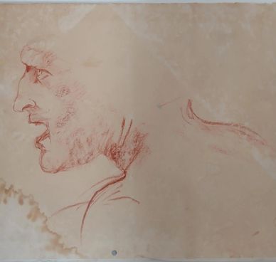 Homage to Leonardo, charcoal