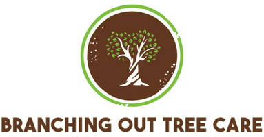 Branching Out Tree Care