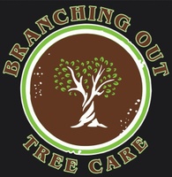 Branching Out Tree Care
