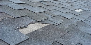 Damage Repair