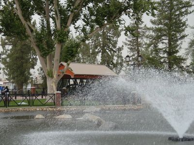 Overlooking Mill Creek pond