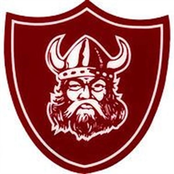 lowndes high vikings