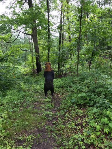 A bear sculpture in a forest clearing.