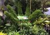 Clever display of topiary hand at the FNGLA trade show in Orlando