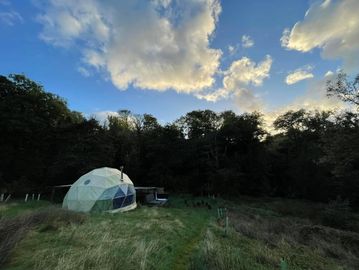 A geodesic dome tent set in a grassy field near a forest under a cloudy sky.