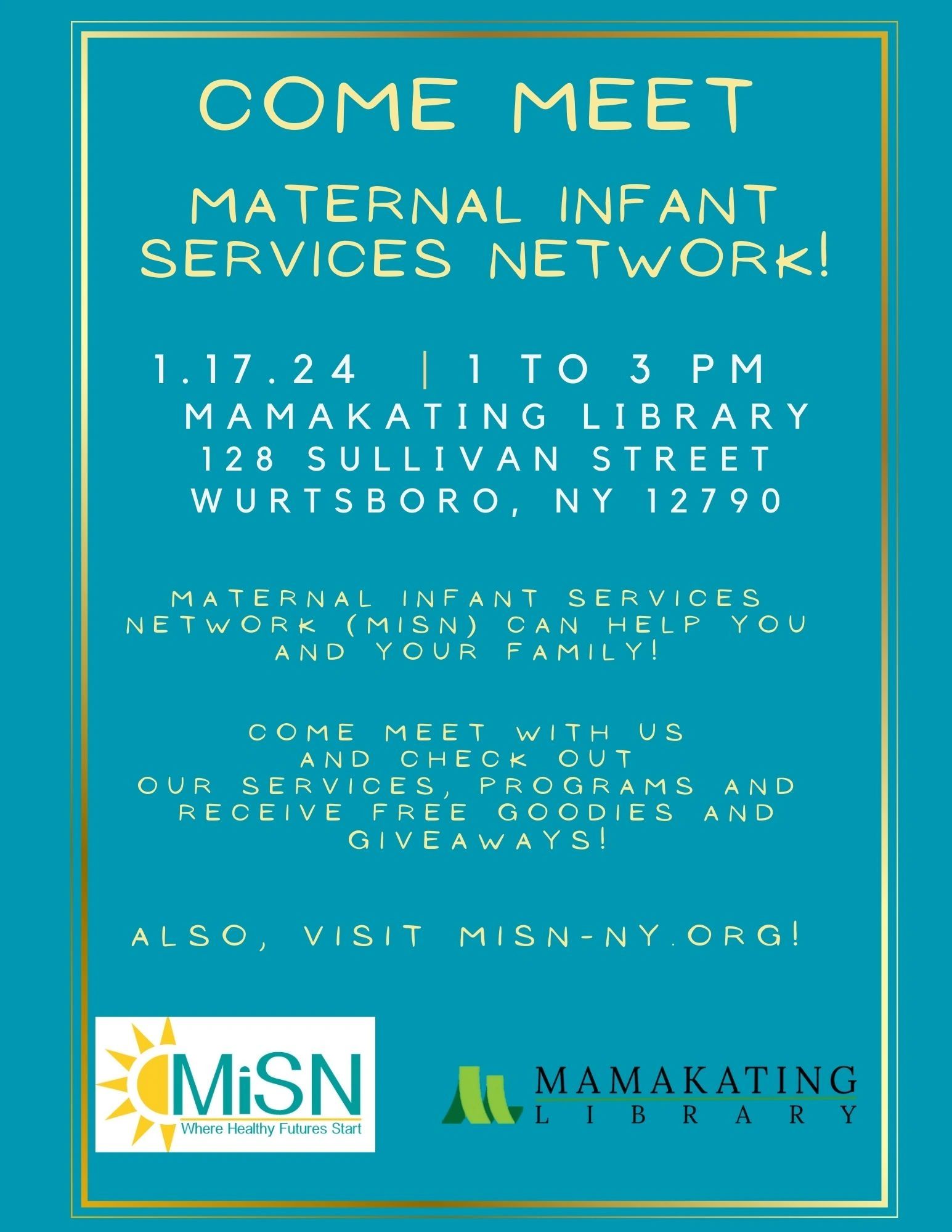 Meet MiSN at the Mamakating Library on January 17!