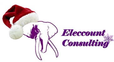 Eleccount Consulting
