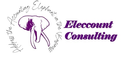 Eleccount Consulting